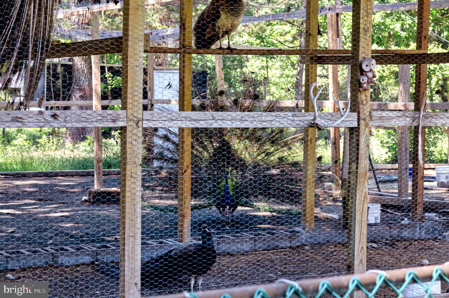 10439 ASHCAKE RD, ASHLAND, Virginia 23005, 4 Bedrooms Bedrooms, ,2 BathroomsBathrooms,Residential,For sale,10439 ASHCAKE RD,VAHA2001128 MLS # VAHA2001128