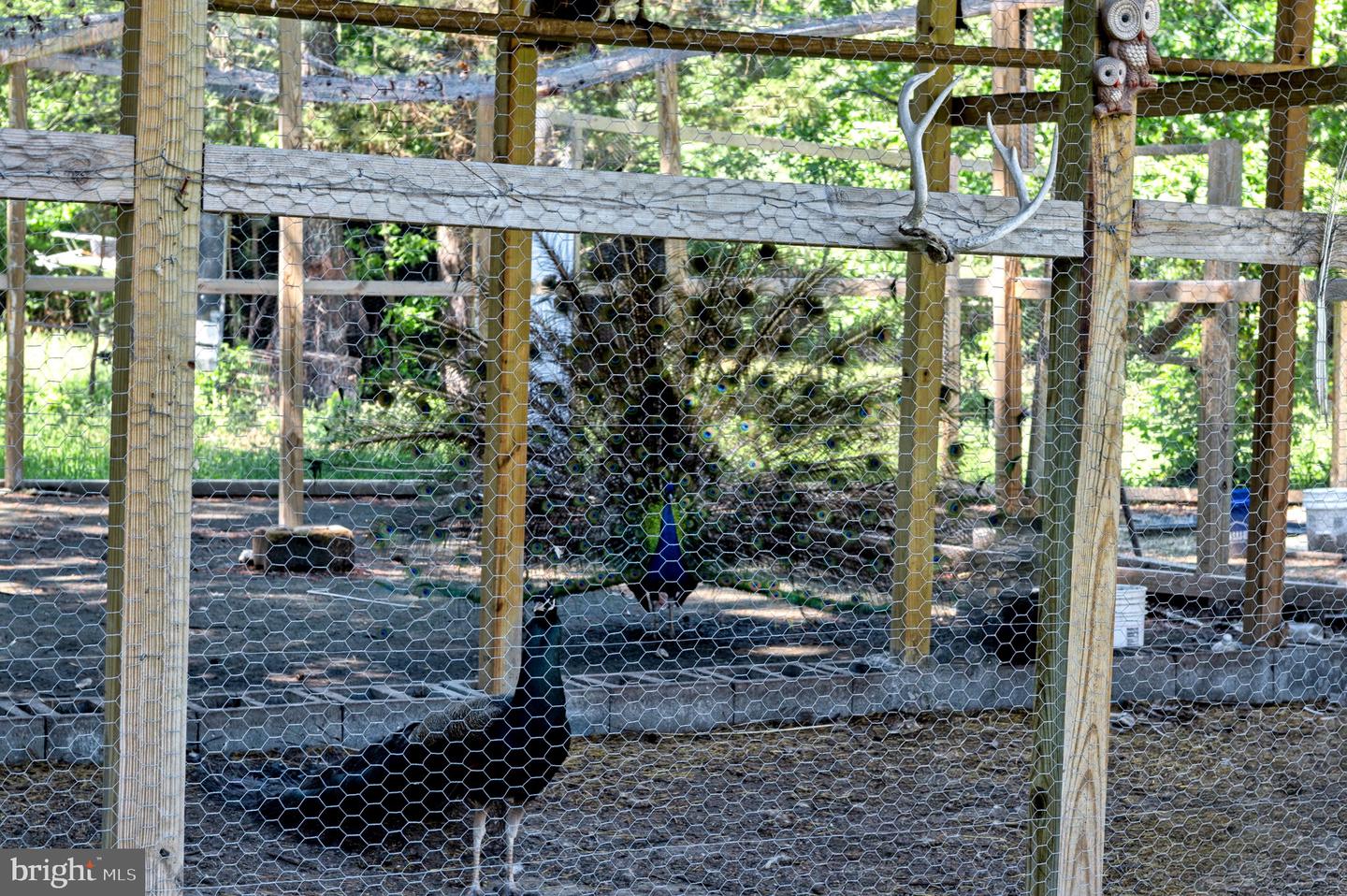 10439 ASHCAKE RD, ASHLAND, Virginia 23005, 4 Bedrooms Bedrooms, ,2 BathroomsBathrooms,Residential,For sale,10439 ASHCAKE RD,VAHA2001128 MLS # VAHA2001128