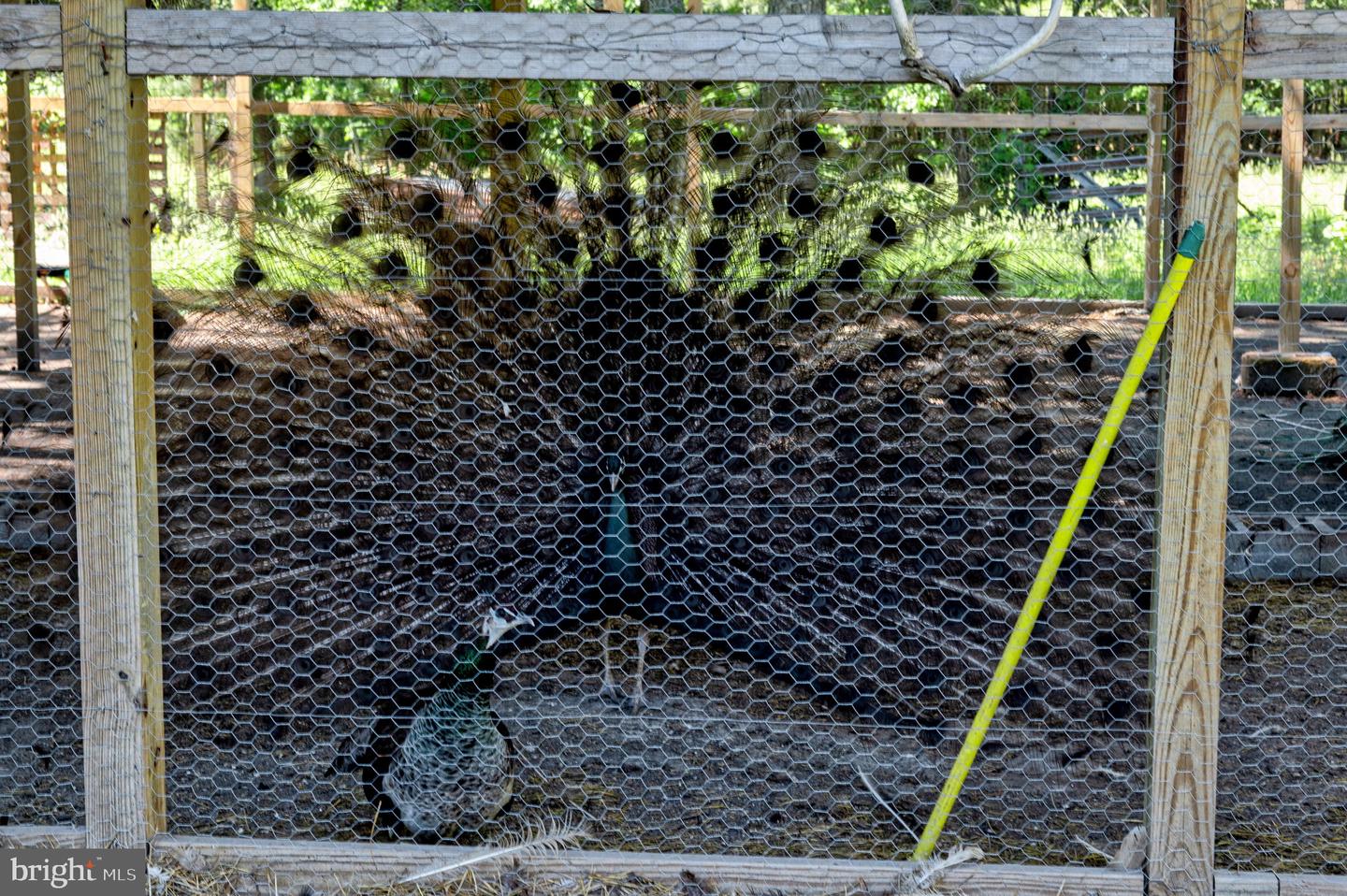 10439 ASHCAKE RD, ASHLAND, Virginia 23005, 4 Bedrooms Bedrooms, ,2 BathroomsBathrooms,Residential,For sale,10439 ASHCAKE RD,VAHA2001128 MLS # VAHA2001128