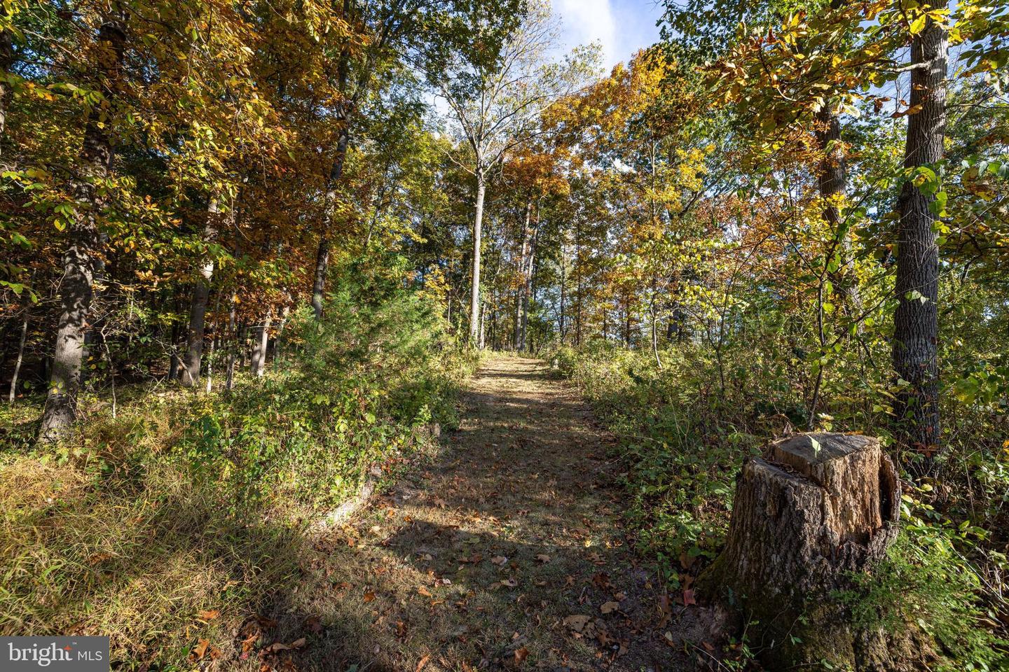 480 MONT VIEW LN, LURAY, Virginia 22835, 3 Bedrooms Bedrooms, ,2 BathroomsBathrooms,Residential,For sale,480 MONT VIEW LN,VAPA2005456 MLS # VAPA2005456