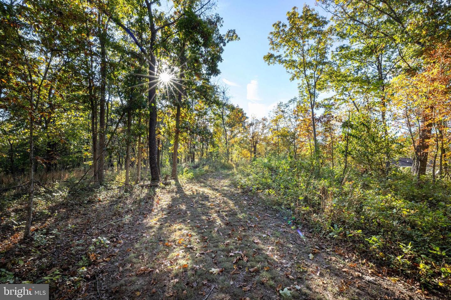 480 MONT VIEW LN, LURAY, Virginia 22835, 3 Bedrooms Bedrooms, ,2 BathroomsBathrooms,Residential,For sale,480 MONT VIEW LN,VAPA2005456 MLS # VAPA2005456