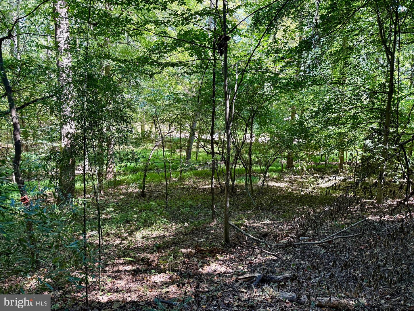 1003 GELSTON CIR, MCLEAN, Virginia 22102, ,Land,For sale,1003 GELSTON CIR,VAFX2288126 MLS # VAFX2288126