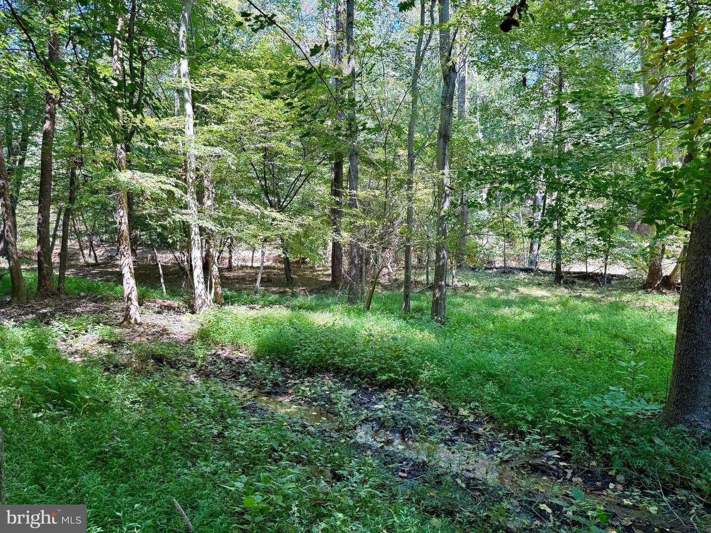 1003 GELSTON CIR, MCLEAN, Virginia 22102, ,Land,For sale,1003 GELSTON CIR,VAFX2288126 MLS # VAFX2288126