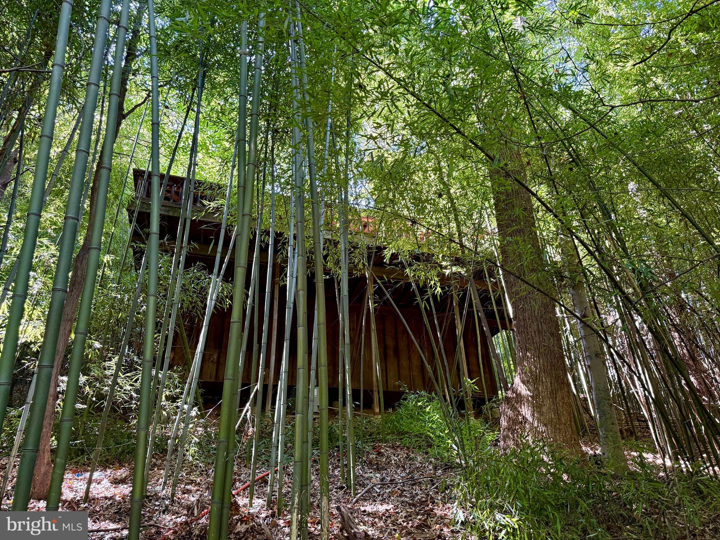 1003 GELSTON CIR, MCLEAN, Virginia 22102, ,Land,For sale,1003 GELSTON CIR,VAFX2288126 MLS # VAFX2288126