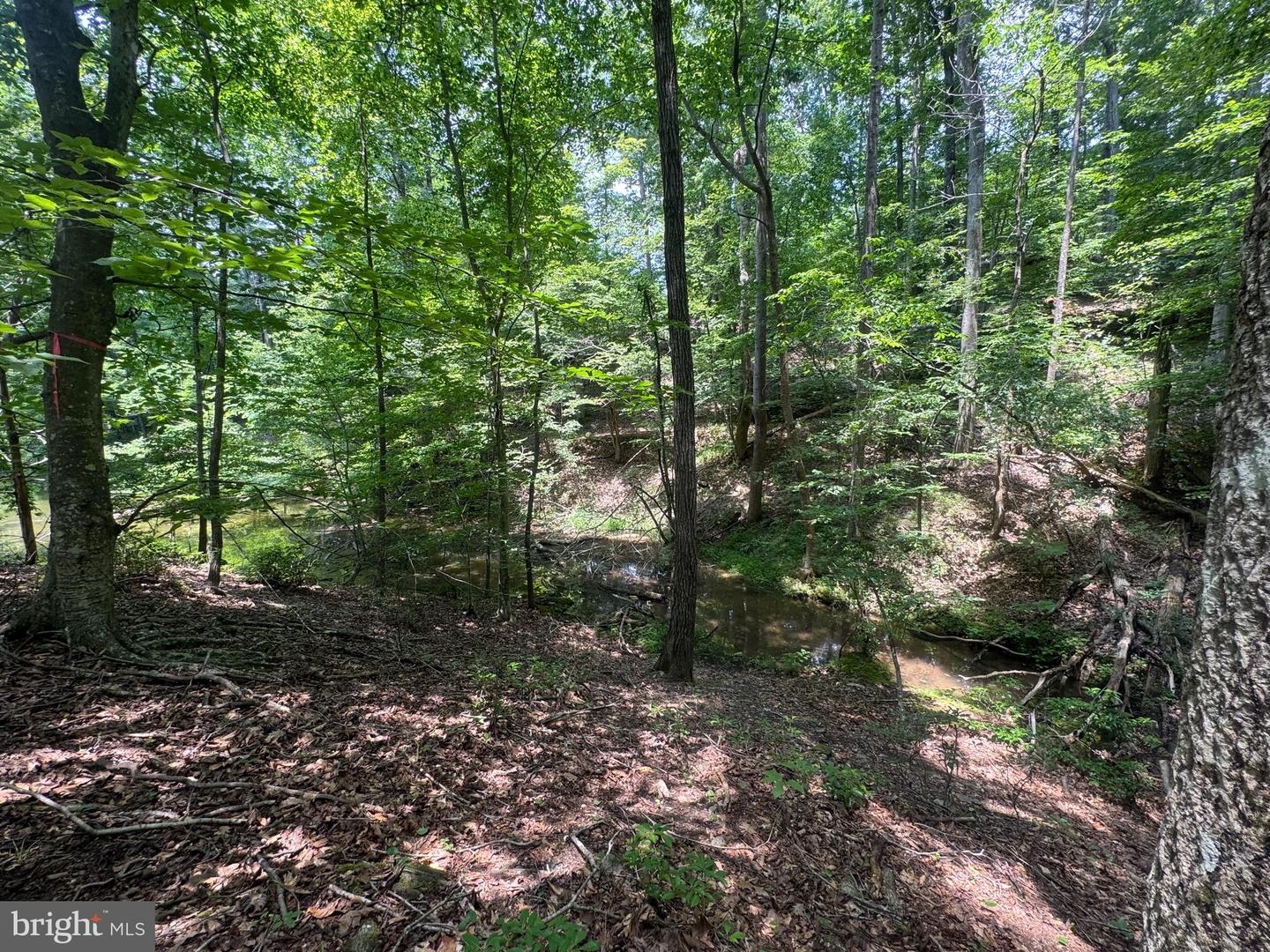 #LOT 64 ELLA MARIE CT, WIRTZ, Virginia 24184, ,Land,For sale,#LOT 64 ELLA MARIE CT,VAFK2000100 MLS # VAFK2000100
