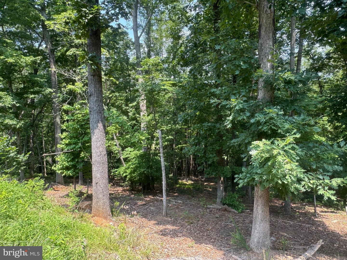 #LOT 64 ELLA MARIE CT, WIRTZ, Virginia 24184, ,Land,For sale,#LOT 64 ELLA MARIE CT,VAFK2000100 MLS # VAFK2000100