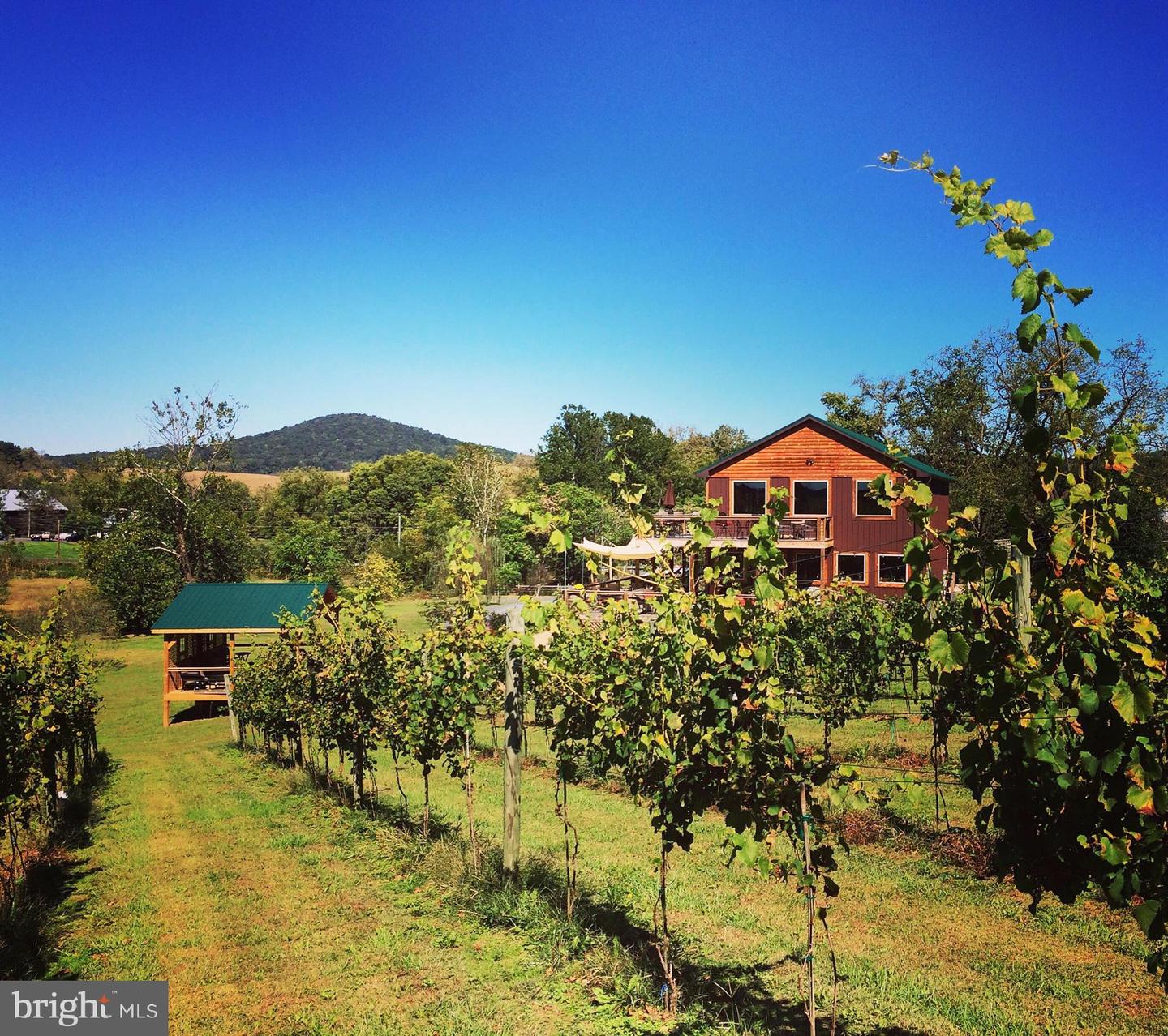 2110 QUICKSBURG RD, QUICKSBURG, Virginia 22847, ,1 BathroomBathrooms,Residential,For sale,2110 QUICKSBURG RD,VASH2013486 MLS # VASH2013486 2110 QUICKSBURG RD, QUICKSBURG, Virginia 22847, ,1 BathroomBathrooms,Residential,For sale,2110 QUICKSBURG RD,VASH2013486 MLS # VASH2013486