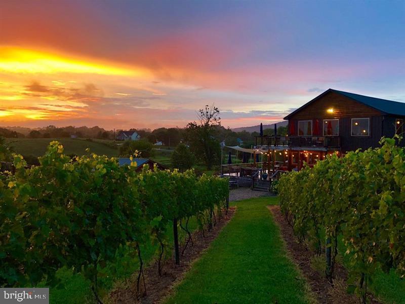 2110 QUICKSBURG RD, QUICKSBURG, Virginia 22847, ,1 BathroomBathrooms,Residential,For sale,2110 QUICKSBURG RD,VASH2013486 MLS # VASH2013486 2110 QUICKSBURG RD, QUICKSBURG, Virginia 22847, ,1 BathroomBathrooms,Residential,For sale,2110 QUICKSBURG RD,VASH2013486 MLS # VASH2013486