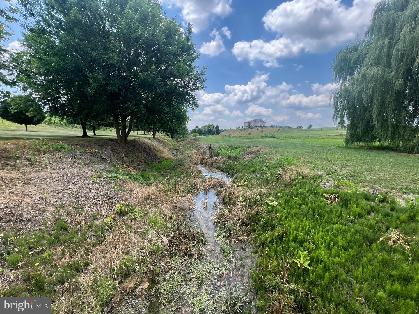 2110 QUICKSBURG RD, QUICKSBURG, Virginia 22847, ,1 BathroomBathrooms,Residential,For sale,2110 QUICKSBURG RD,VASH2013486 MLS # VASH2013486 2110 QUICKSBURG RD, QUICKSBURG, Virginia 22847, ,1 BathroomBathrooms,Residential,For sale,2110 QUICKSBURG RD,VASH2013486 MLS # VASH2013486