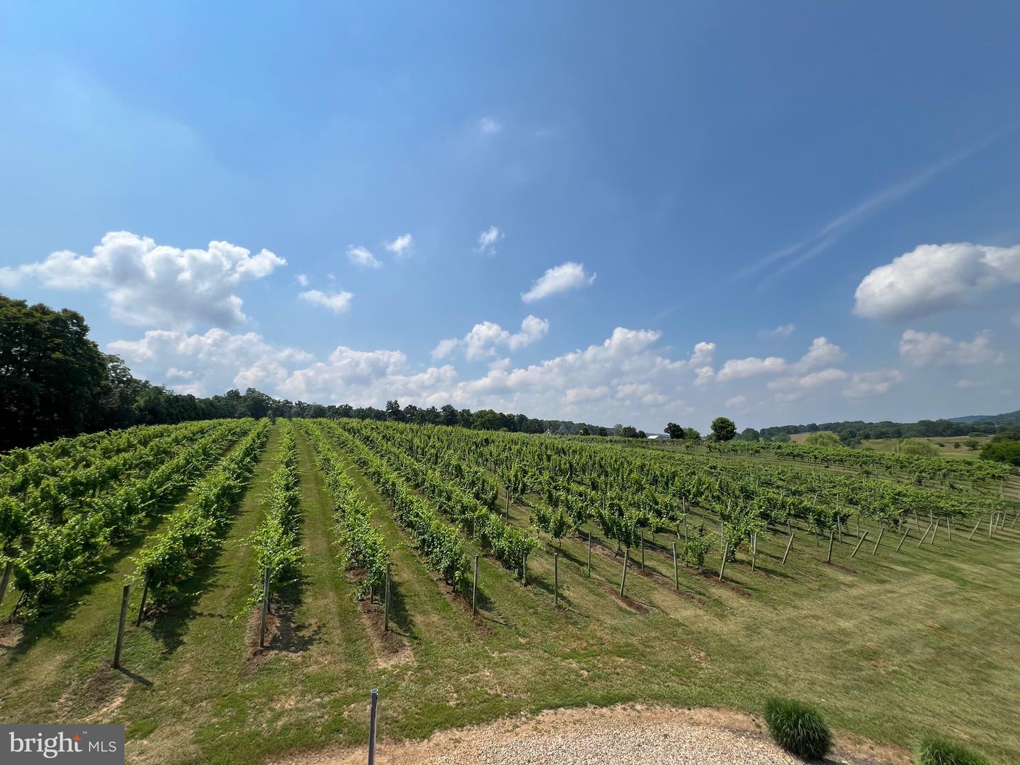 2110 QUICKSBURG RD, QUICKSBURG, Virginia 22847, ,1 BathroomBathrooms,Residential,For sale,2110 QUICKSBURG RD,VASH2013486 MLS # VASH2013486 2110 QUICKSBURG RD, QUICKSBURG, Virginia 22847, ,1 BathroomBathrooms,Residential,For sale,2110 QUICKSBURG RD,VASH2013486 MLS # VASH2013486