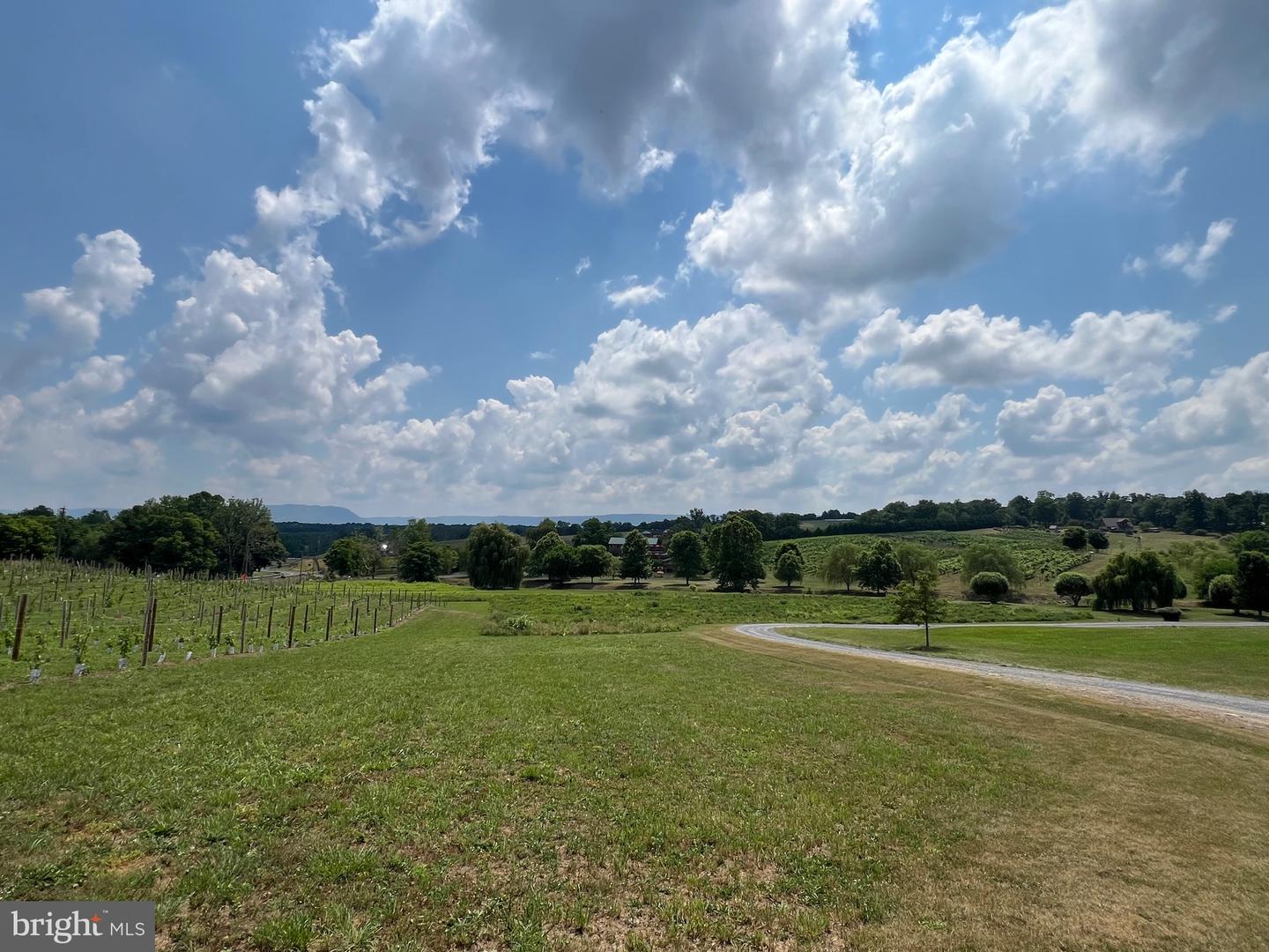 2110 QUICKSBURG RD, QUICKSBURG, Virginia 22847, ,1 BathroomBathrooms,Residential,For sale,2110 QUICKSBURG RD,VASH2013486 MLS # VASH2013486 2110 QUICKSBURG RD, QUICKSBURG, Virginia 22847, ,1 BathroomBathrooms,Residential,For sale,2110 QUICKSBURG RD,VASH2013486 MLS # VASH2013486