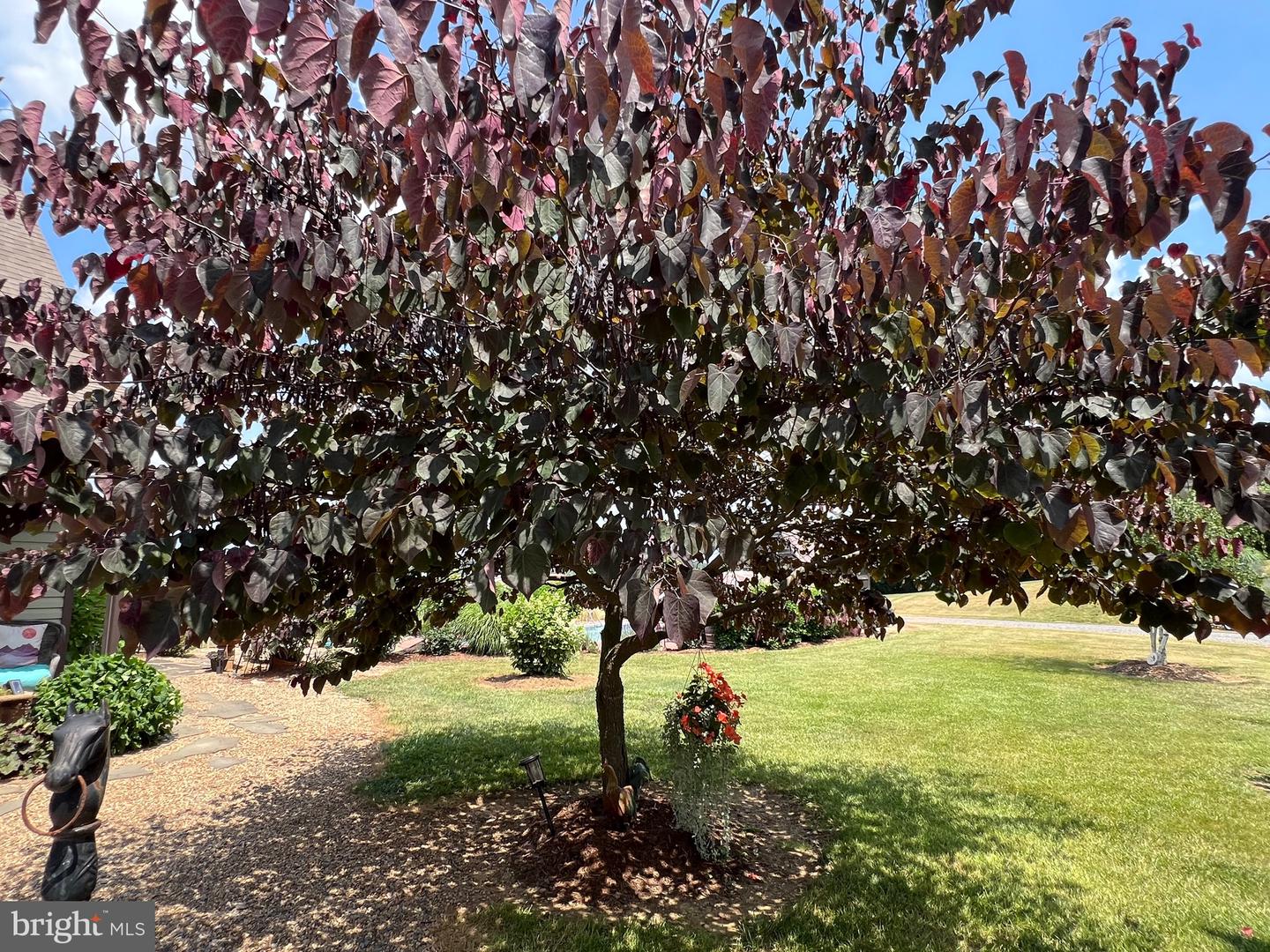 2110 QUICKSBURG RD, QUICKSBURG, Virginia 22847, ,1 BathroomBathrooms,Residential,For sale,2110 QUICKSBURG RD,VASH2013486 MLS # VASH2013486 2110 QUICKSBURG RD, QUICKSBURG, Virginia 22847, ,1 BathroomBathrooms,Residential,For sale,2110 QUICKSBURG RD,VASH2013486 MLS # VASH2013486