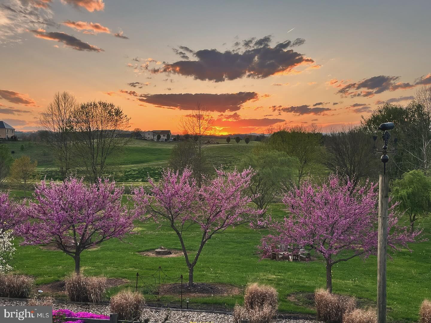 2110 QUICKSBURG RD, QUICKSBURG, Virginia 22847, ,1 BathroomBathrooms,Residential,For sale,2110 QUICKSBURG RD,VASH2013486 MLS # VASH2013486 2110 QUICKSBURG RD, QUICKSBURG, Virginia 22847, ,1 BathroomBathrooms,Residential,For sale,2110 QUICKSBURG RD,VASH2013486 MLS # VASH2013486
