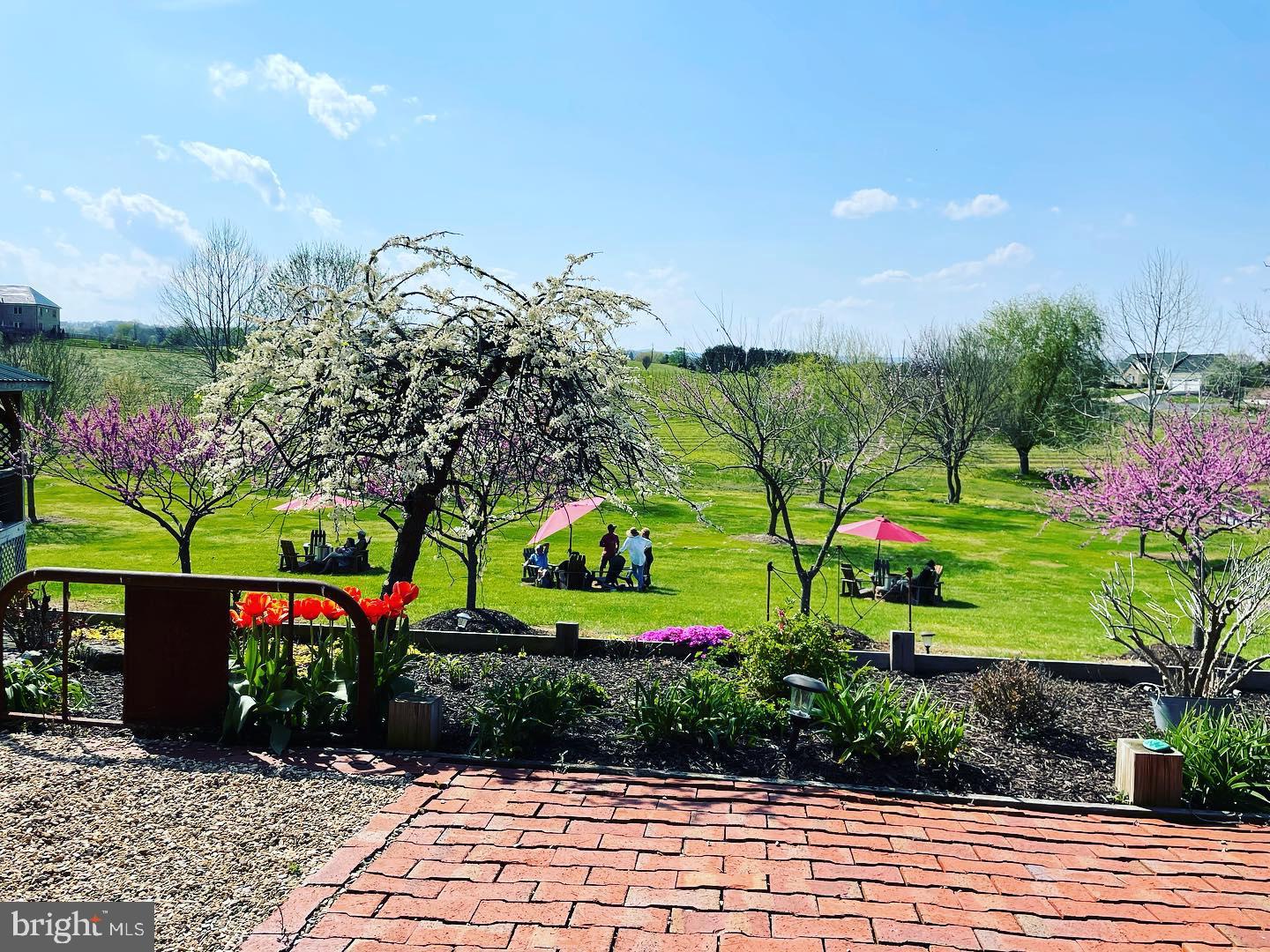 2110 QUICKSBURG RD, QUICKSBURG, Virginia 22847, ,1 BathroomBathrooms,Residential,For sale,2110 QUICKSBURG RD,VASH2013486 MLS # VASH2013486 2110 QUICKSBURG RD, QUICKSBURG, Virginia 22847, ,1 BathroomBathrooms,Residential,For sale,2110 QUICKSBURG RD,VASH2013486 MLS # VASH2013486