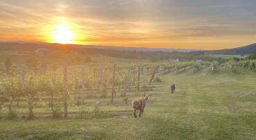 2110 QUICKSBURG RD, QUICKSBURG, Virginia 22847, ,1 BathroomBathrooms,Residential,For sale,2110 QUICKSBURG RD,VASH2013486 MLS # VASH2013486