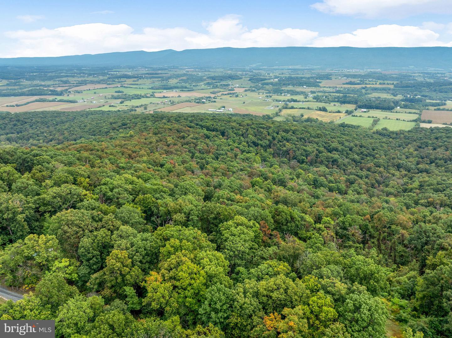 760 HILLTOP LN, MOUNT JACKSON, Virginia 22842, 2 Bedrooms Bedrooms, ,1 BathroomBathrooms,Residential,For sale,760 HILLTOP LN,VASH2013412 MLS # VASH2013412