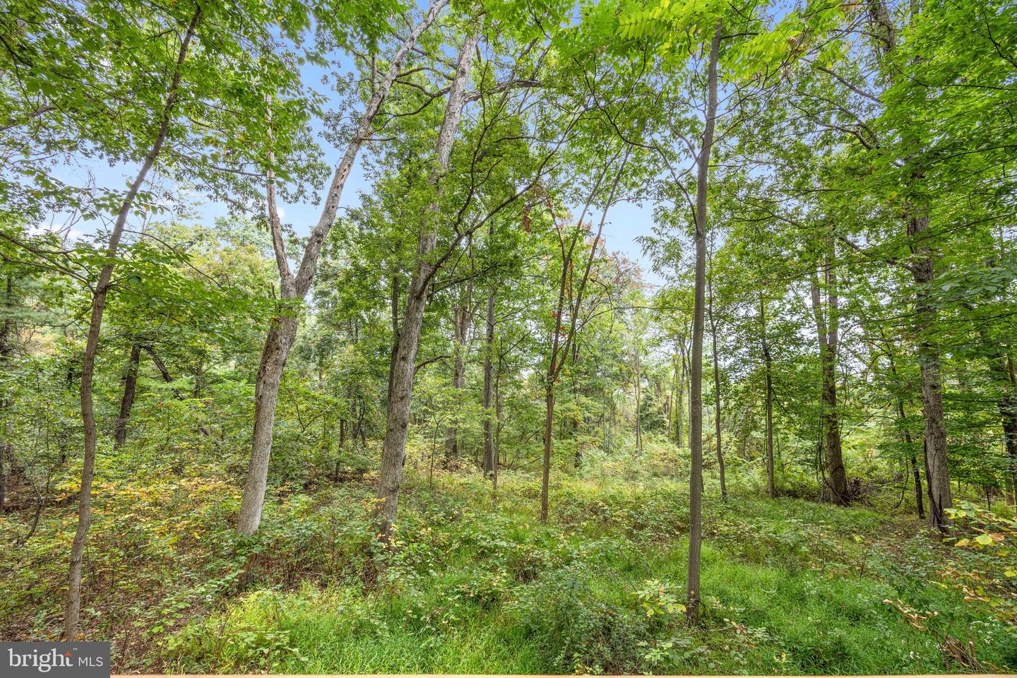 760 HILLTOP LN, MOUNT JACKSON, Virginia 22842, 2 Bedrooms Bedrooms, ,1 BathroomBathrooms,Residential,For sale,760 HILLTOP LN,VASH2013412 MLS # VASH2013412