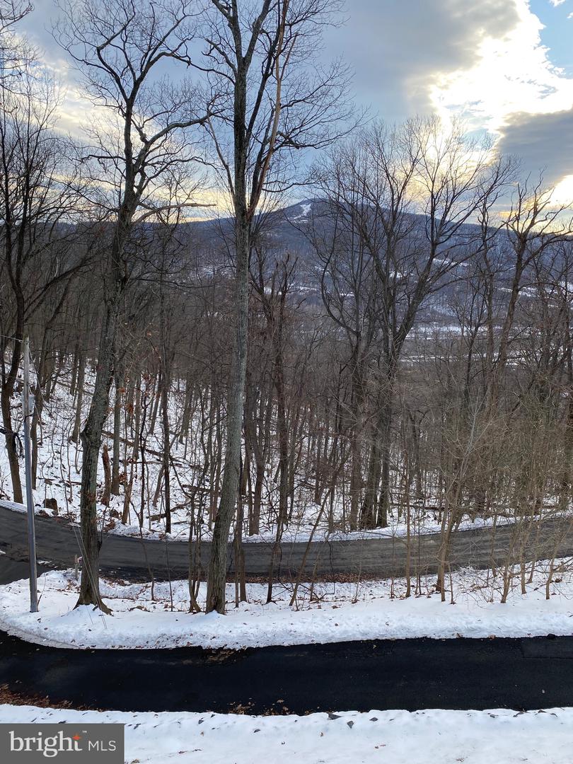 1157 GRANNY SMITH RD, LINDEN, Virginia 22642, 3 Bedrooms Bedrooms, 7 Rooms Rooms,3 BathroomsBathrooms,Residential,For sale,1157 GRANNY SMITH RD,VAWR2013180 MLS # VAWR2013180