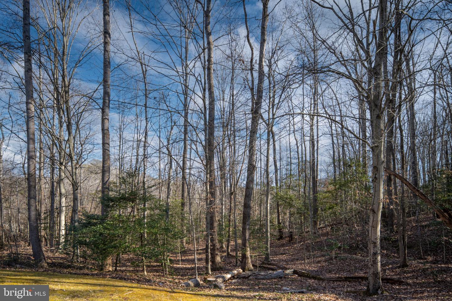 916 DECATUR RD, STAFFORD, Virginia 22554, 5 Bedrooms Bedrooms, ,4 BathroomsBathrooms,Residential,For sale,916 DECATUR RD,VAST2045442 MLS # VAST2045442 916 DECATUR RD, STAFFORD, Virginia 22554, 5 Bedrooms Bedrooms, ,4 BathroomsBathrooms,Residential,For sale,916 DECATUR RD,VAST2045442 MLS # VAST2045442