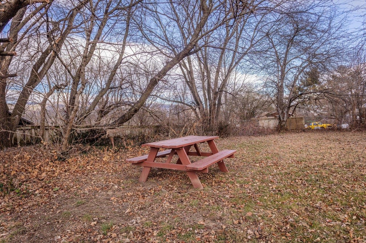 211 SECOND ST, SHENANDOAH, Virginia 22849, 2 Bedrooms Bedrooms, ,1 BathroomBathrooms,Residential,211 SECOND ST,672908 MLS # 672908 211 SECOND ST, SHENANDOAH, Virginia 22849, 2 Bedrooms Bedrooms, ,1 BathroomBathrooms,Residential,211 SECOND ST,672908 MLS # 672908