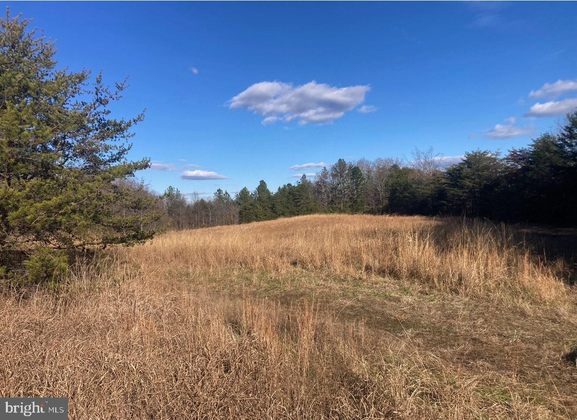 5049 CLOVER RD, CLOVER, Virginia 24534, ,Land,For sale,5049 CLOVER RD,VAHX2000164 MLS # VAHX2000164