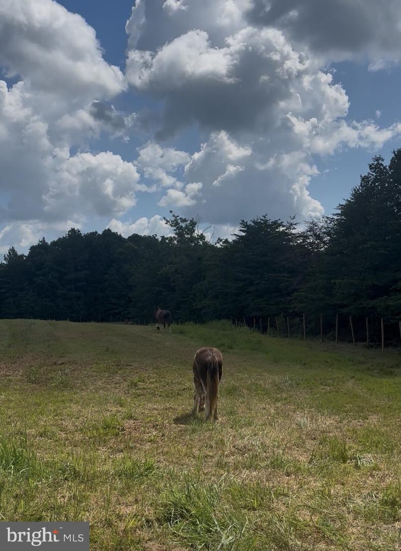 5049 CLOVER RD, CLOVER, Virginia 24534, ,Land,For sale,5049 CLOVER RD,VAHX2000164 MLS # VAHX2000164