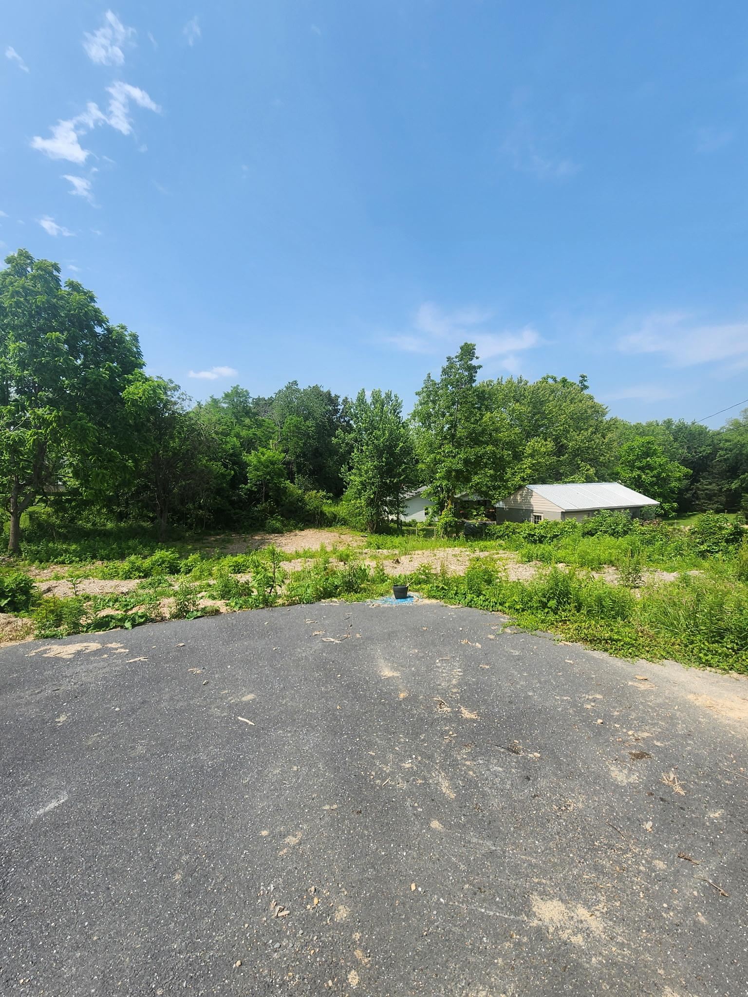 tbd CEDAR GREEN RD, STAUNTON, Virginia 24401, ,Land,tbd CEDAR GREEN RD,672289 MLS # 672289