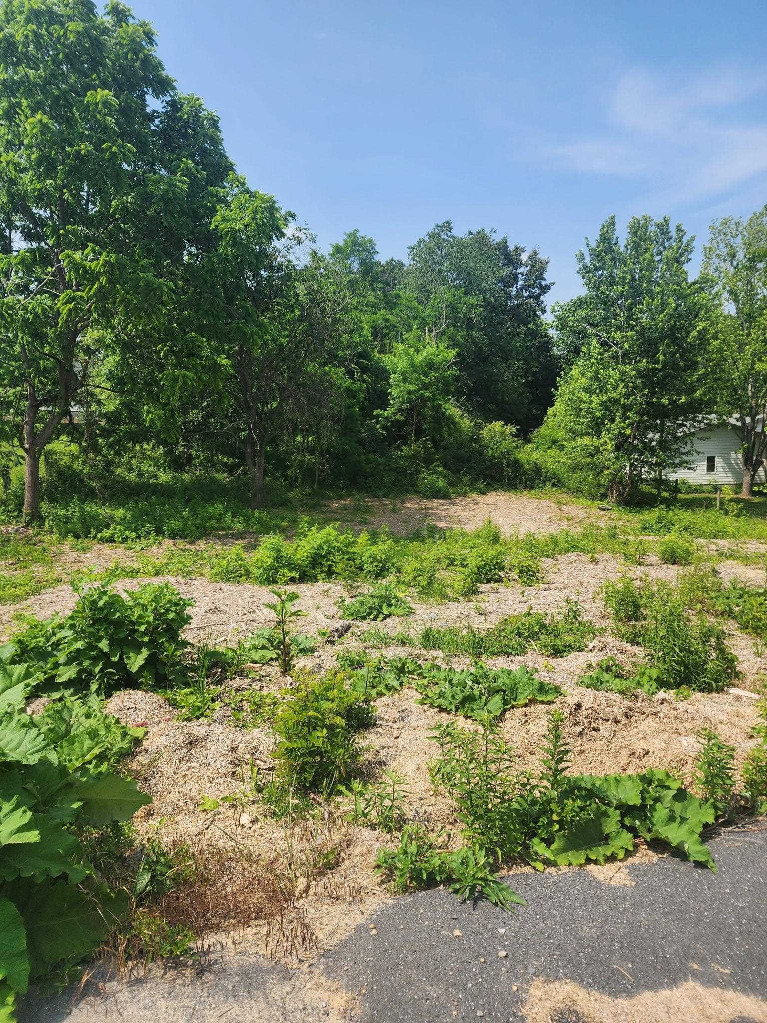 tbd CEDAR GREEN RD, STAUNTON, Virginia 24401, ,Land,tbd CEDAR GREEN RD,672289 MLS # 672289