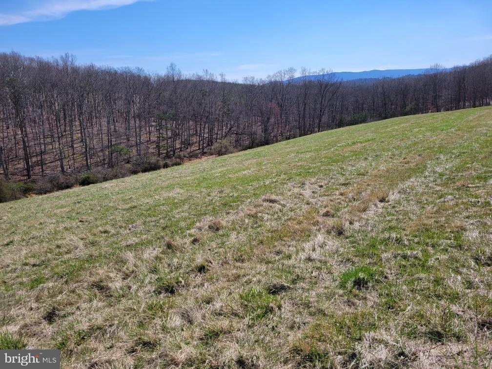 RED OAK ROAD, CROSS JUNCTION, Virginia 22625, 4 Bedrooms Bedrooms, ,3 BathroomsBathrooms,Residential,For sale,RED OAK ROAD,VAFV2024396 MLS # VAFV2024396