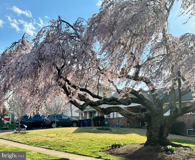 6526 DRYDEN DR, MCLEAN, Virginia 22101, 4 Bedrooms Bedrooms, ,3 BathroomsBathrooms,Residential,For sale,6526 DRYDEN DR,VAFX2287954 MLS # VAFX2287954