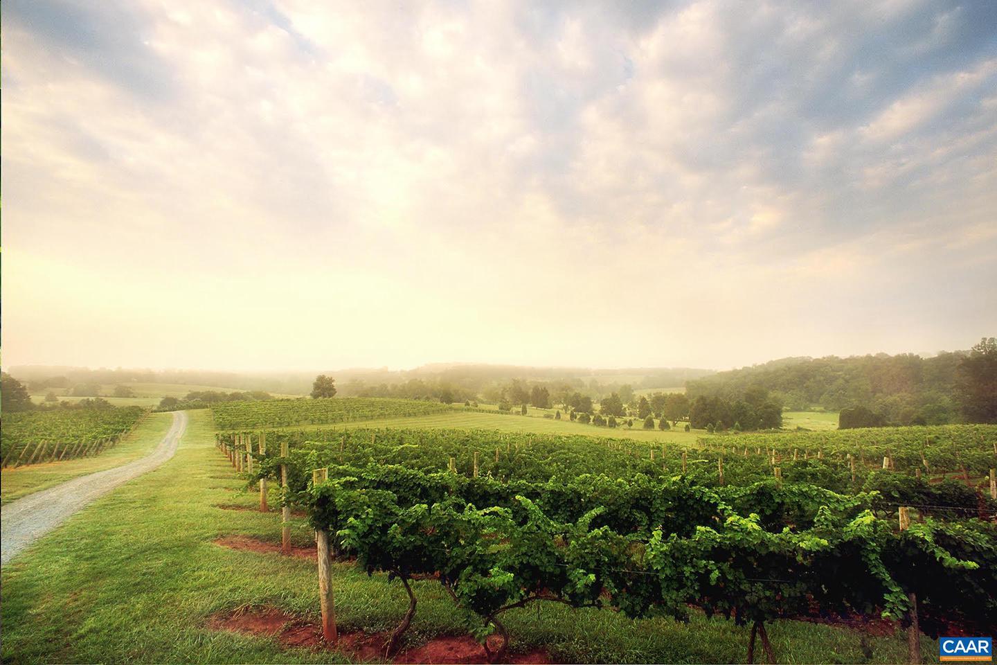 745 WALKER SQ #3B, CHARLOTTESVILLE, Virginia 22903, 1 Bedroom Bedrooms, ,1 BathroomBathrooms,Residential,For sale,745 WALKER SQ #3B,672917 MLS # 672917