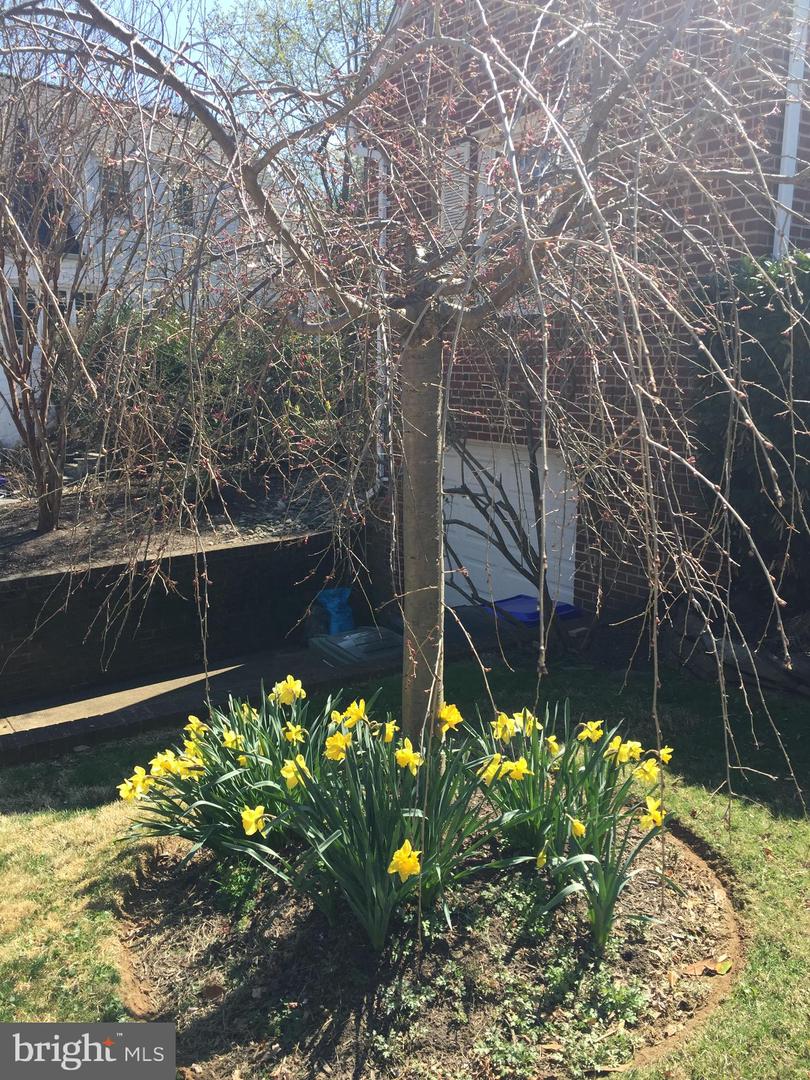 972 N QUANTICO ST, ARLINGTON, Virginia 22205, 2 Bedrooms Bedrooms, ,1 BathroomBathrooms,Residential,For sale,972 N QUANTICO ST,VAAR2068268 MLS # VAAR2068268