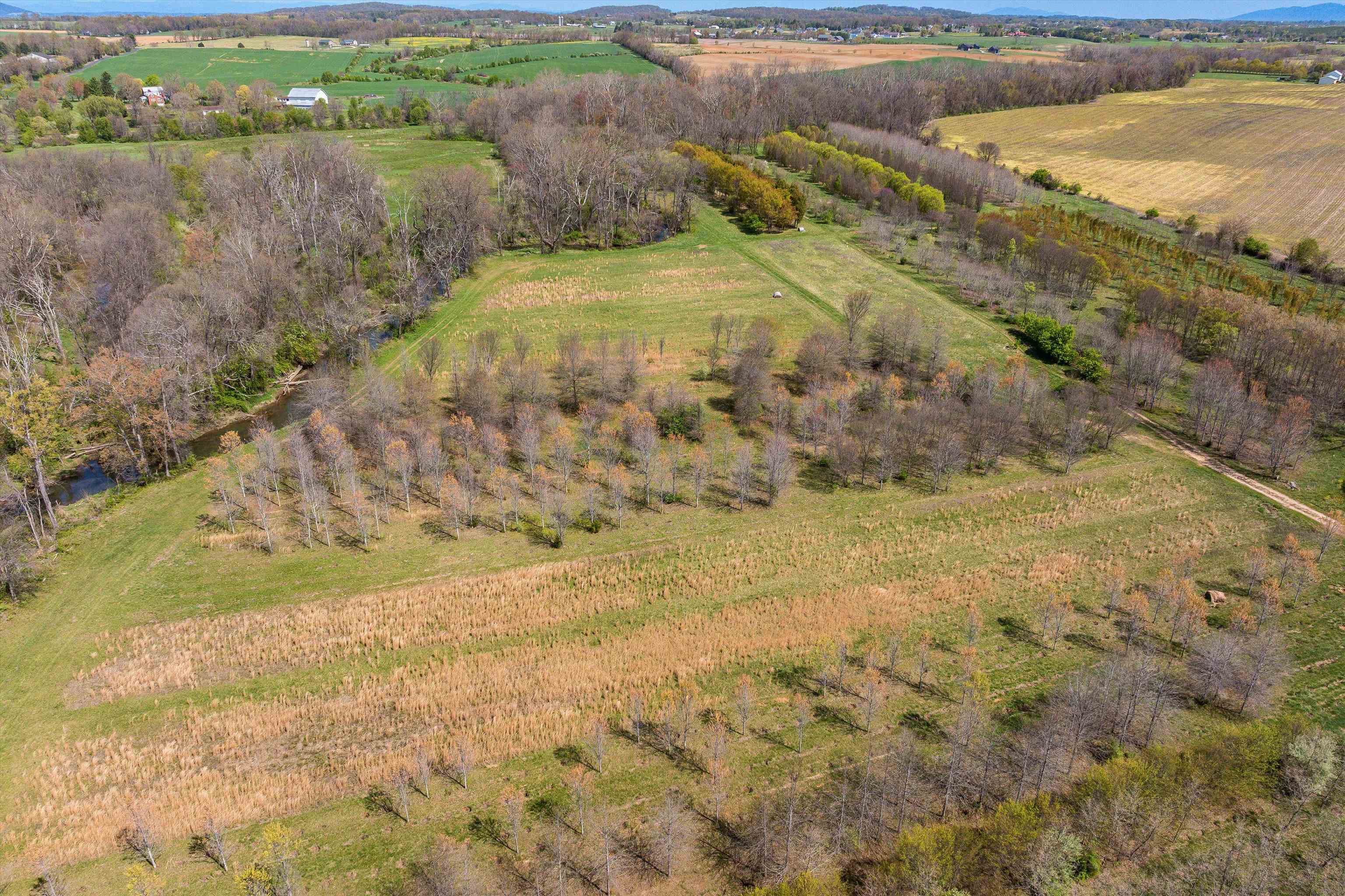 514 LIPSCOMB RD, STUARTS DRAFT, Virginia 24477, 10 Bedrooms Bedrooms, ,4 BathroomsBathrooms,Residential,514 LIPSCOMB RD,672921 MLS # 672921