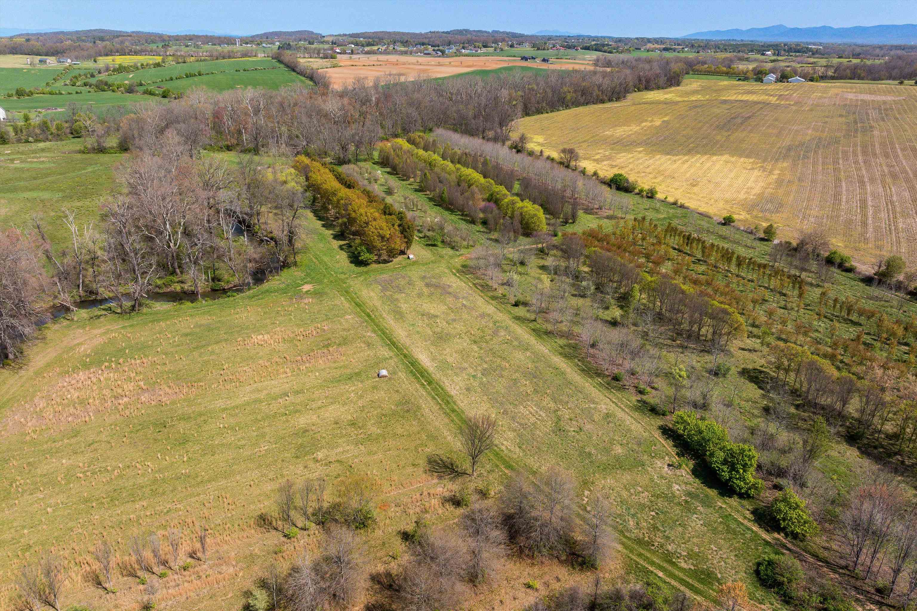 514 LIPSCOMB RD, STUARTS DRAFT, Virginia 24477, 10 Bedrooms Bedrooms, ,4 BathroomsBathrooms,Residential,514 LIPSCOMB RD,672921 MLS # 672921