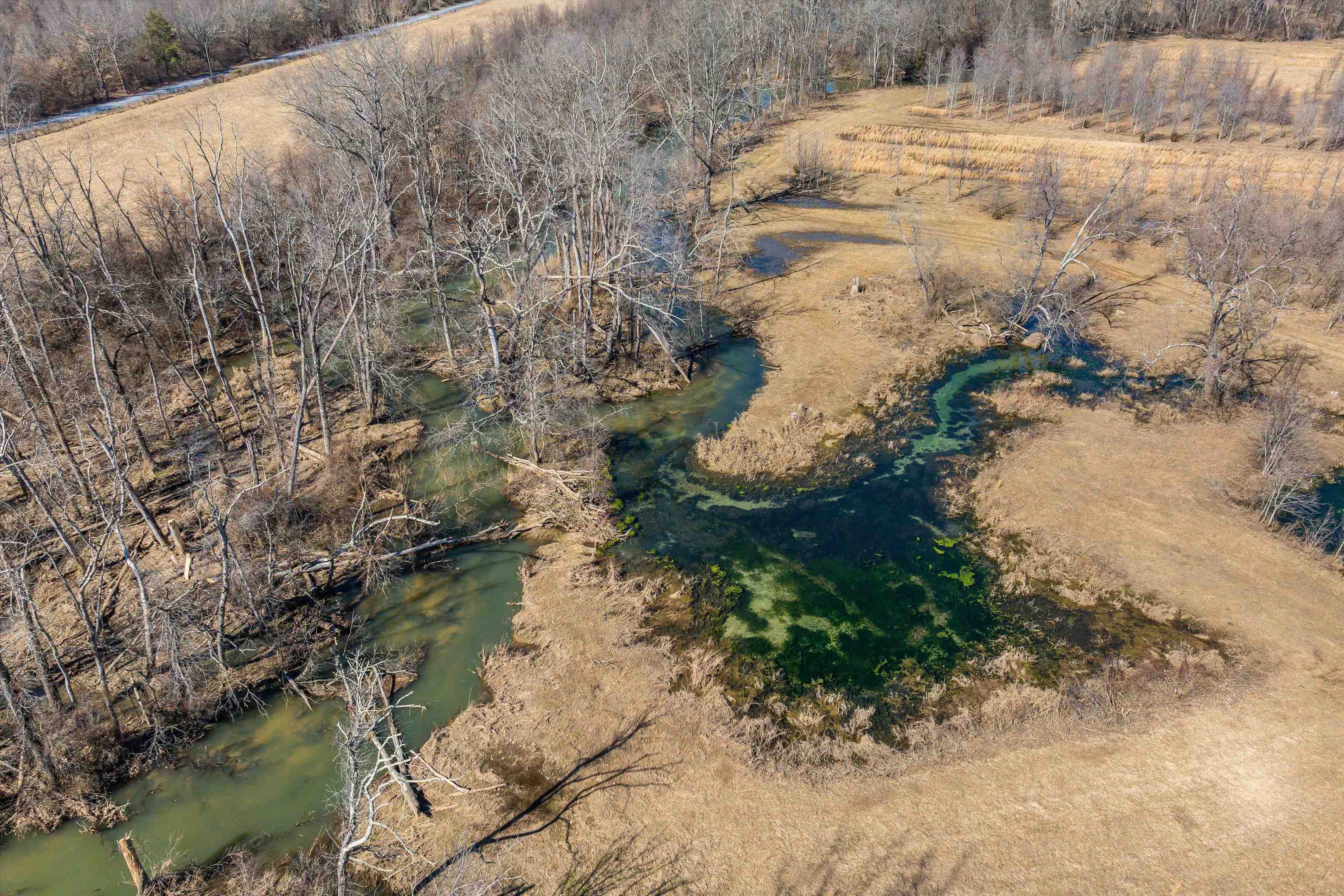 514 LIPSCOMB RD, STUARTS DRAFT, Virginia 24477, 10 Bedrooms Bedrooms, ,4 BathroomsBathrooms,Residential,514 LIPSCOMB RD,672921 MLS # 672921