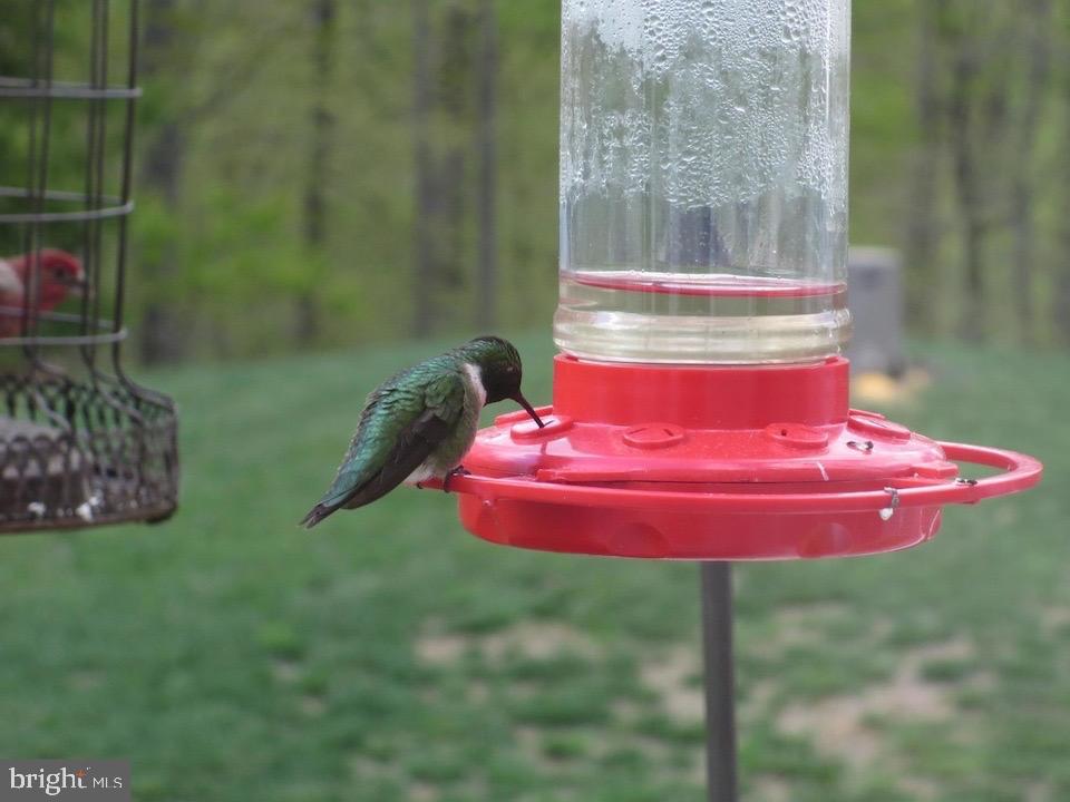 18776 PIER TRAIL DR, TRIANGLE, Virginia 22172, 6 Bedrooms Bedrooms, ,3 BathroomsBathrooms,Residential,For sale,18776 PIER TRAIL DR,VAPW2105196 MLS # VAPW2105196 18776 PIER TRAIL DR, TRIANGLE, Virginia 22172, 6 Bedrooms Bedrooms, ,3 BathroomsBathrooms,Residential,For sale,18776 PIER TRAIL DR,VAPW2105196 MLS # VAPW2105196