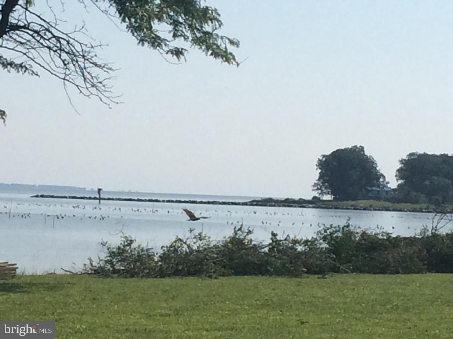 LAKE RD, LOTTSBURG, Virginia 22511, ,Land,For sale,LAKE RD,VANV2001852 MLS # VANV2001852