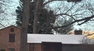 256 BLUE RIDGE, MADISON, Virginia 22727, 4 Bedrooms Bedrooms, ,3 BathroomsBathrooms,Residential,For sale,256 BLUE RIDGE,VAMA2002598 MLS # VAMA2002598