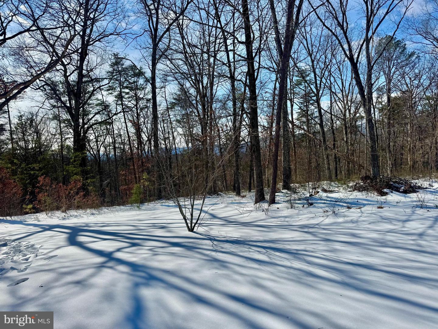 4403 BACK MOUNTAIN RD, WINCHESTER, Virginia 22602, 3 Bedrooms Bedrooms, ,2 BathroomsBathrooms,Residential,For sale,4403 BACK MOUNTAIN RD,VAFV2039282 MLS # VAFV2039282