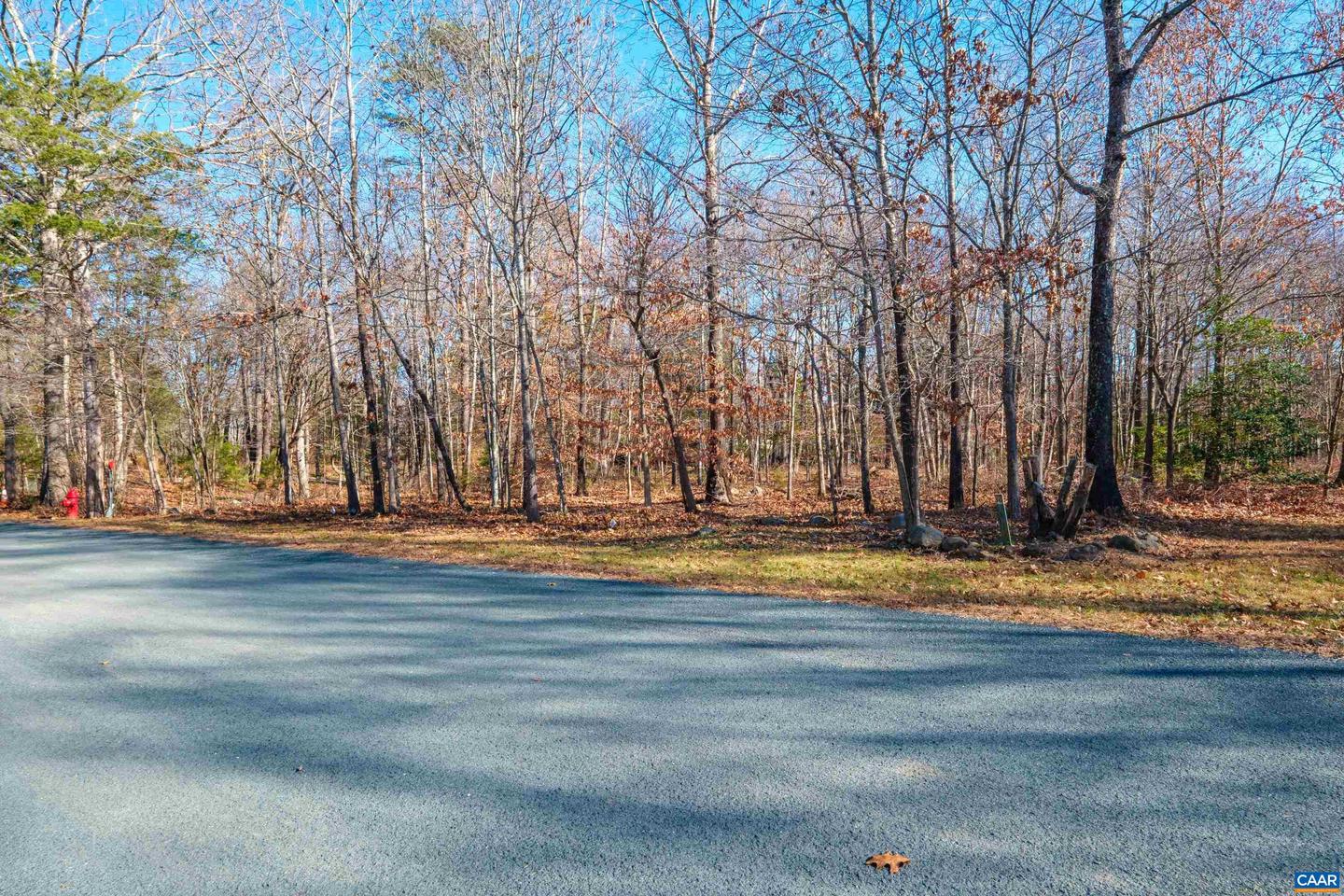 85 MAY APPLE LN, NELLYSFORD, Virginia 22958, ,Land,For sale,85 MAY APPLE LN,671603 MLS # 671603