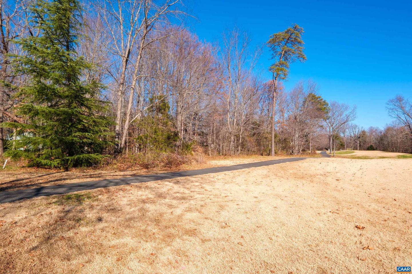 85 MAY APPLE LN, NELLYSFORD, Virginia 22958, ,Land,For sale,85 MAY APPLE LN,671603 MLS # 671603