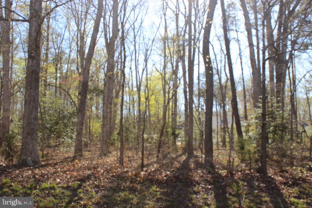 2296 BUCCANEER BLVD, GREENBACKVILLE, Virginia 23356, ,Land,For sale,2296 BUCCANEER BLVD,VAAC2002590 MLS # VAAC2002590