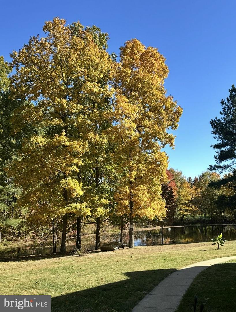 441 HARTWOOD RD, FREDERICKSBURG, Virginia 22406, 4 Bedrooms Bedrooms, ,3 BathroomsBathrooms,Residential,For sale,441 HARTWOOD RD,VAST2045422 MLS # VAST2045422