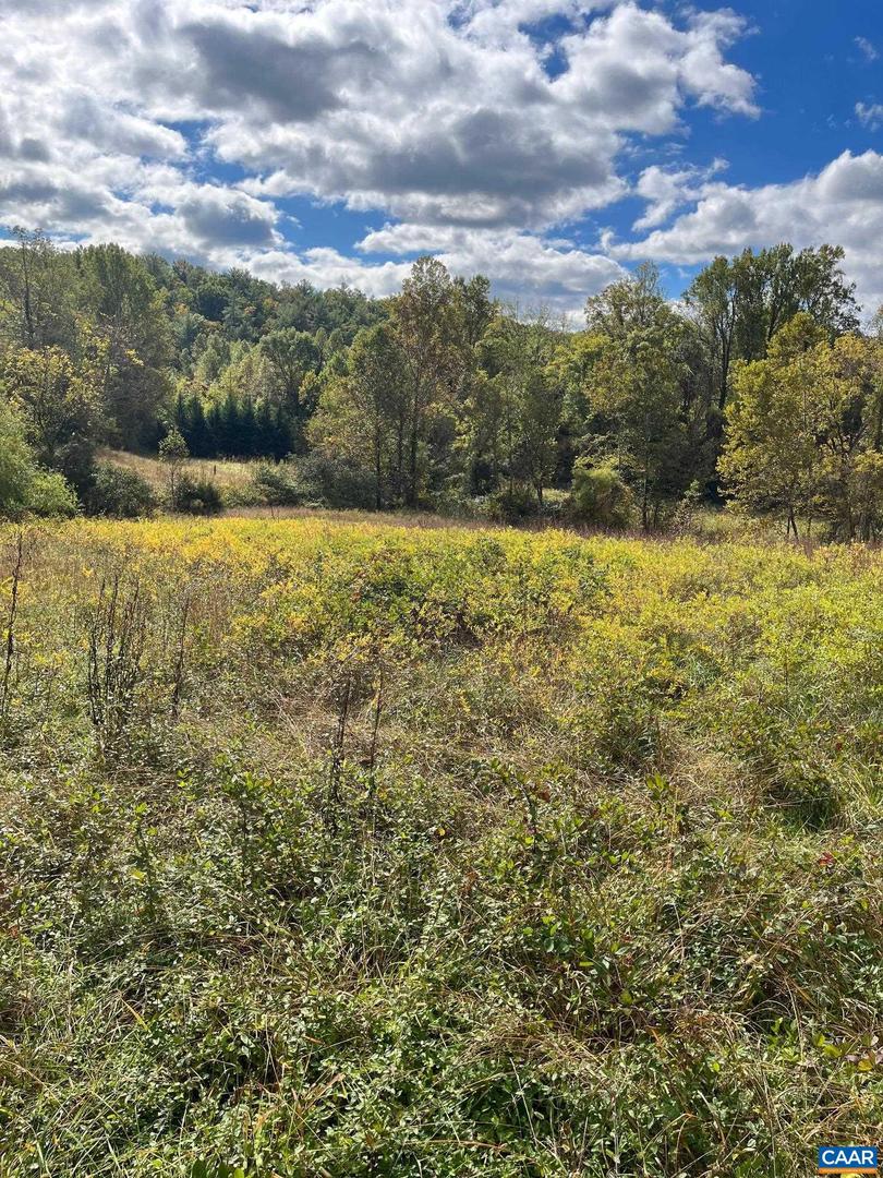 LOT 2B BROWNS GAP TPKE, CROZET, Virginia 22920, 4 Bedrooms Bedrooms, ,2 BathroomsBathrooms,Residential,For sale,LOT 2B BROWNS GAP TPKE,661745 MLS # 661745