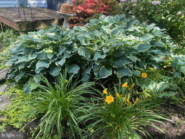 3814 ELBERT AVE, ALEXANDRIA, Virginia 22305, 3 Bedrooms Bedrooms, ,2 BathroomsBathrooms,Residential,For sale,3814 ELBERT AVE,VAAX2053078 MLS # VAAX2053078