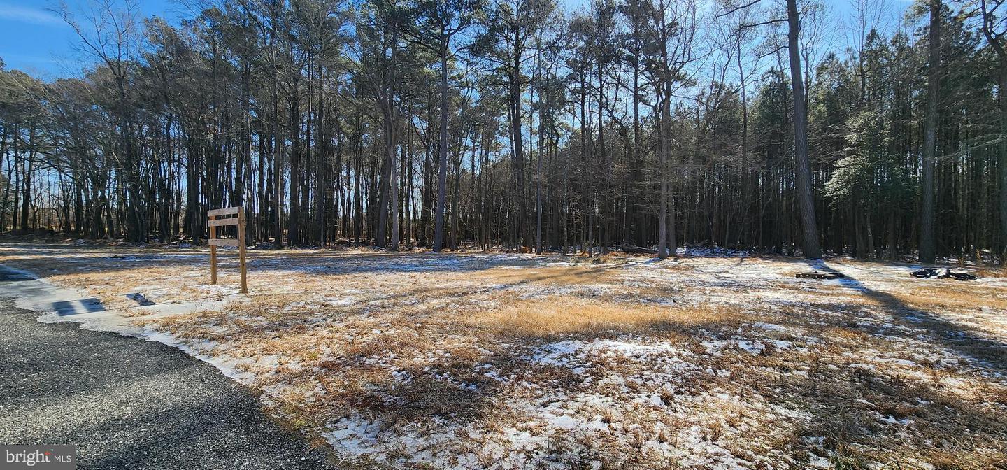 0 SHAROAK RD, NEW CHURCH, Virginia 23415, ,Land,For sale,0 SHAROAK RD,VAAC2002588 MLS # VAAC2002588