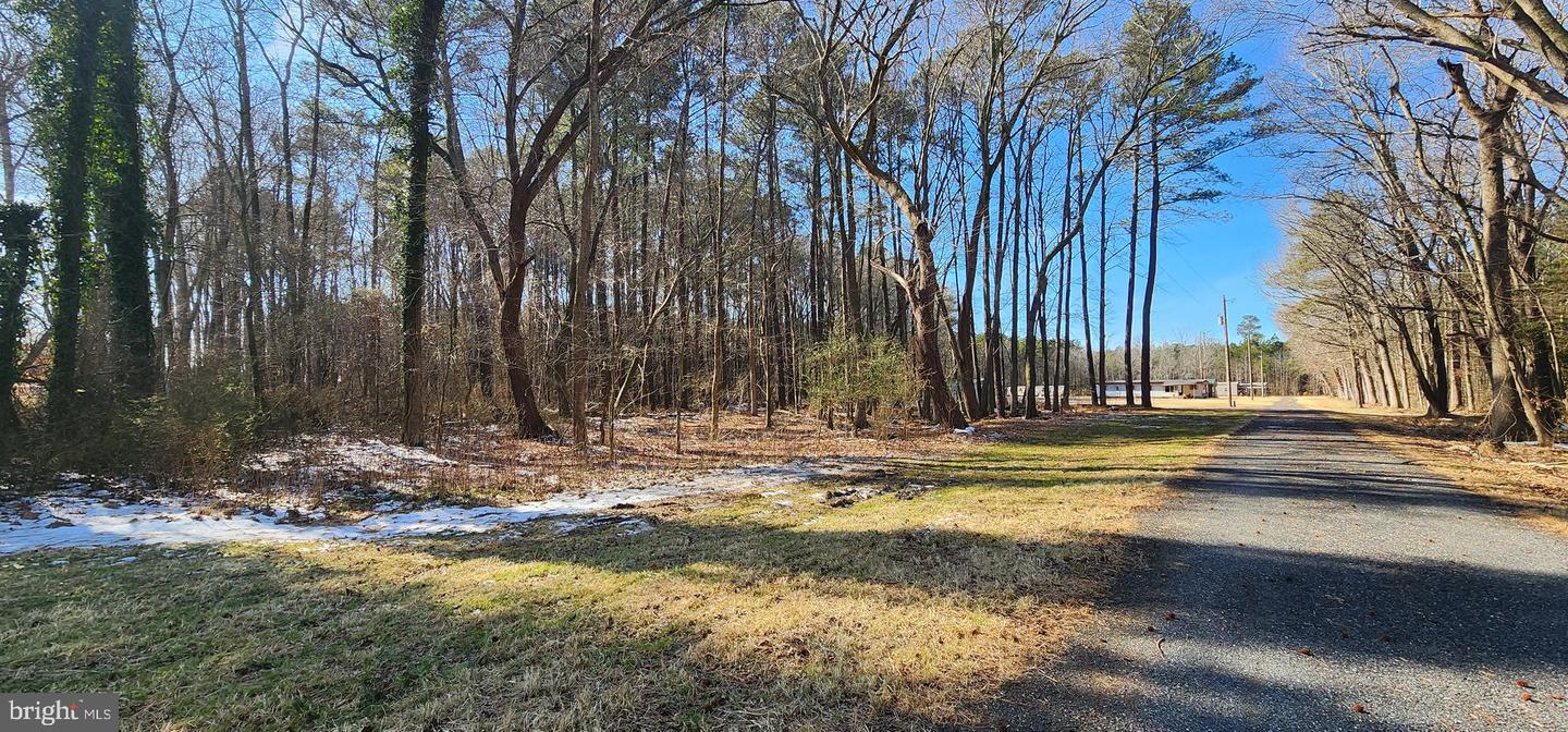 0 SHAROAK RD, NEW CHURCH, Virginia 23415, ,Land,For sale,0 SHAROAK RD,VAAC2002588 MLS # VAAC2002588