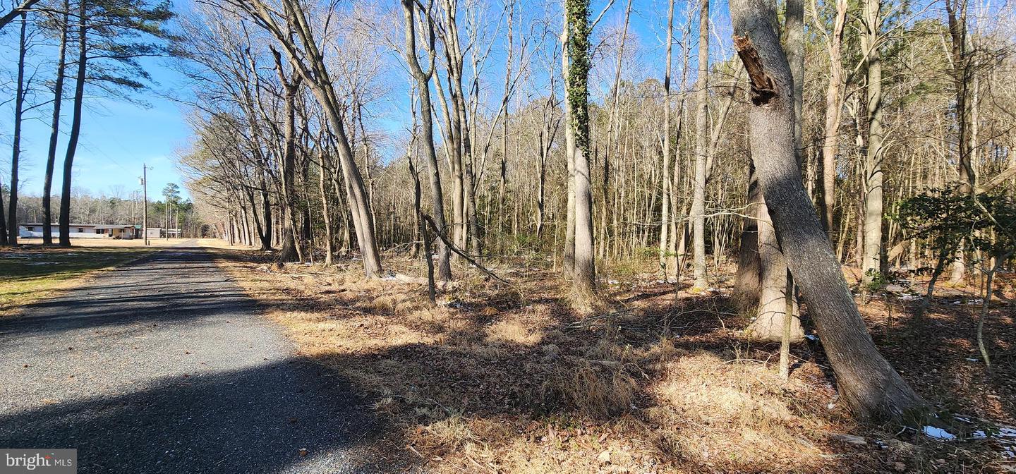 0 SHAROAK RD, NEW CHURCH, Virginia 23415, ,Land,For sale,0 SHAROAK RD,VAAC2002588 MLS # VAAC2002588