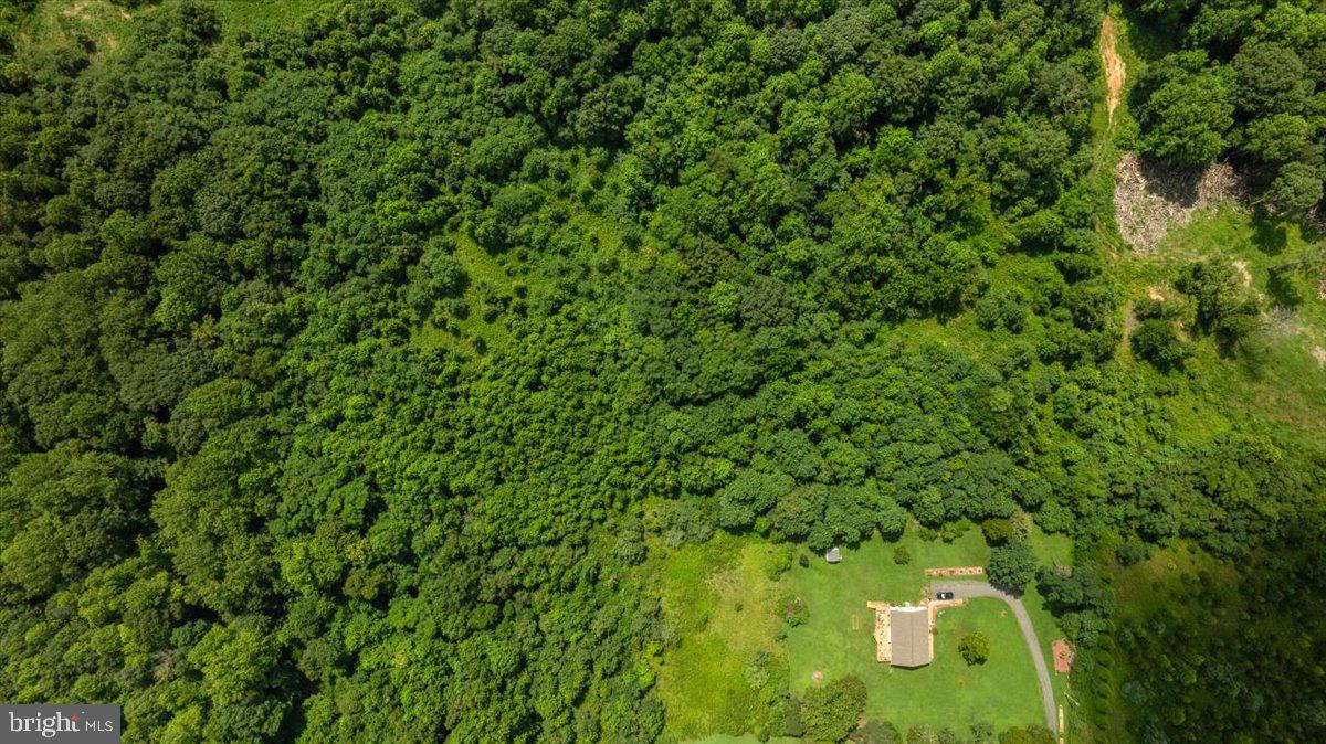 LOT E JONES PL, KING GEORGE, Virginia 22485, ,Land,For sale,LOT E JONES PL,VAKG2006738 MLS # VAKG2006738