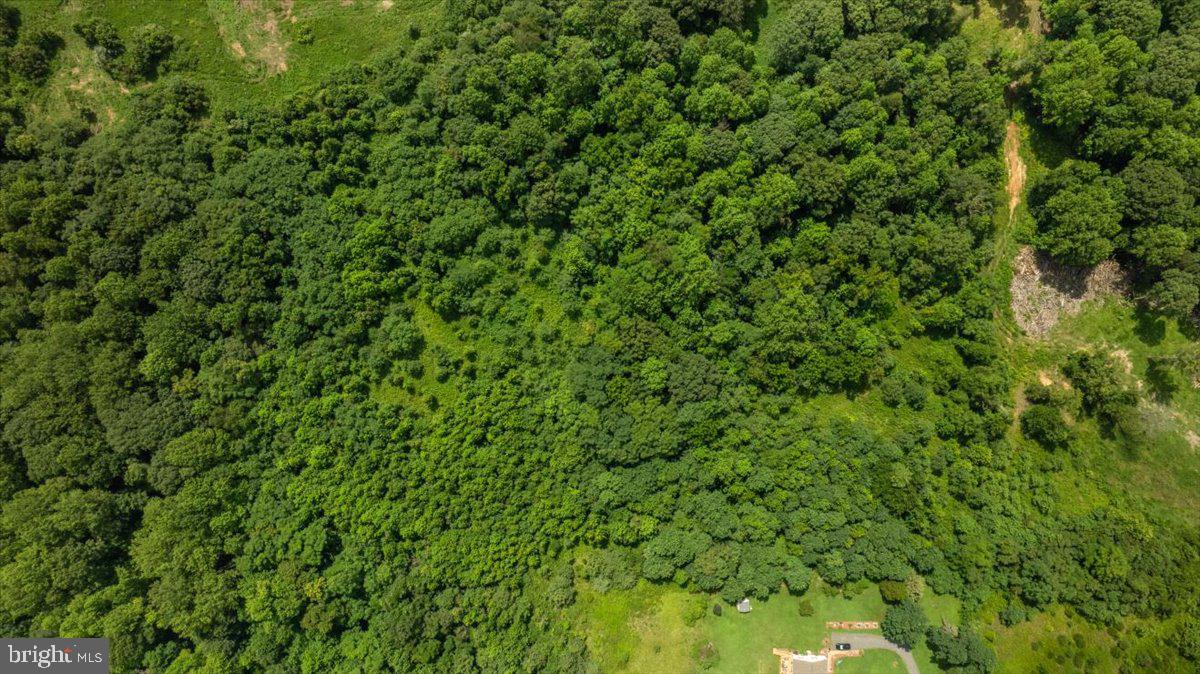 LOT E JONES PL, KING GEORGE, Virginia 22485, ,Land,For sale,LOT E JONES PL,VAKG2006738 MLS # VAKG2006738